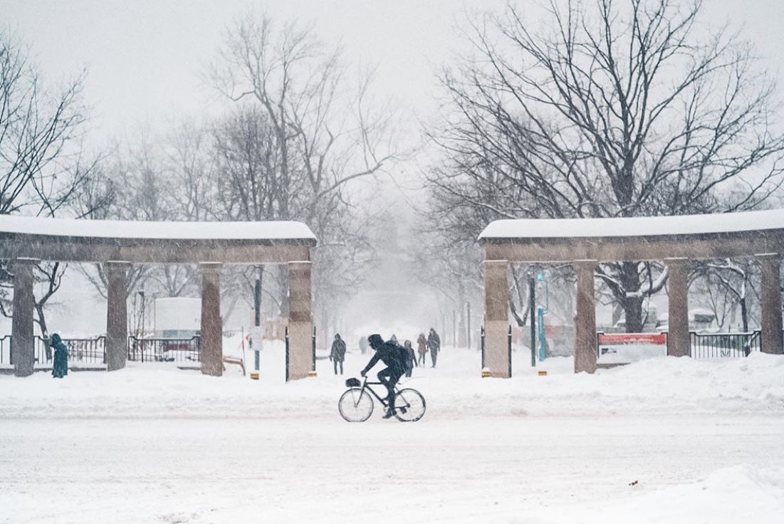 Photos: Montreal Currently Facing Biggest Snowstorm Of The Year ...