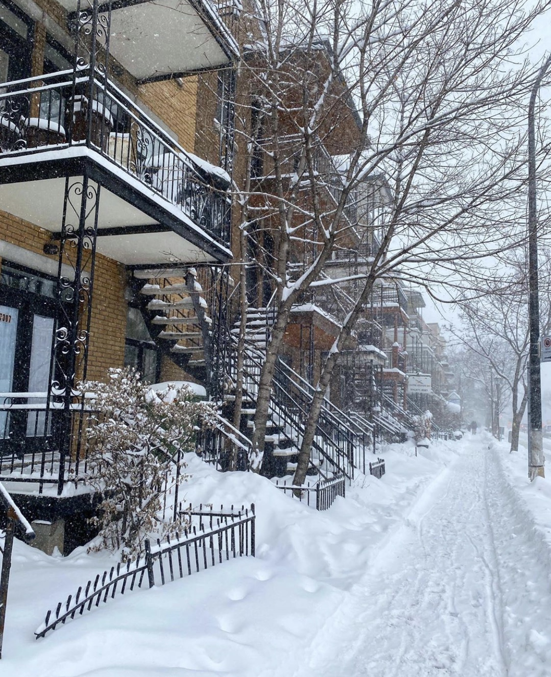 Photos: Montreal Currently Facing Biggest Snowstorm Of The Year ...